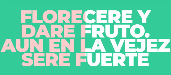 Tarjeta Interactiva -